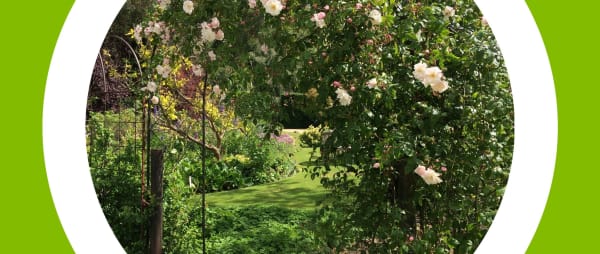 South Newington gardens private tours